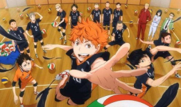 排球少年动漫,梦想与激情的青春交响曲