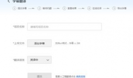 在线视频翻译,在线翻译工具如何助力跨文化交流